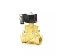 Électrovanne pilote pneumatique à vapeur haute pression en laiton, 2 voies, port PZ-15, G1/2", 0,5-25 bar, orifice 15 mm, bobine D16011(AC110V)