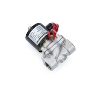 Électrovanne pneumatique normalement fermée en acier inoxydable 304 DN8/15/20/25 1/4", 1/2", 3/4", 1"(DN15,DC12V)