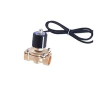 Électrovanne sous-marine 12 V 230 V DN40 1,5 pouce à action directe, normalement fermée(Npt-110vac,2A-40VITON)