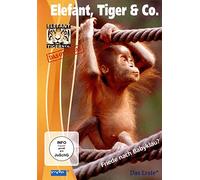 Elefant, Tiger & Co. 17. Friede nach Babyklau: TV Teile 241-256 [Import]