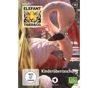 Elefant, Tiger & Co. 48 Kinderüberraschung