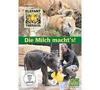 Elefant, Tiger & Co. - Die Milch macht's! - mit der 800. Folge, 1 DVD