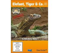 Elefant, Tiger & Co. - Teil 27: Gefährliche Nähe