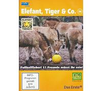 Elefant, Tiger & Co. - Teil 36: Fußballfieber! 11 Freunde müsst ihr sein!