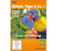 Elefant, Tiger & Co. -Teil 37: Liebe mit Handicap [Import]
