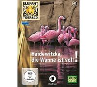 Elefant, Tiger & Co. - Teil 42 - Haidewitzka, die Wanne ist voll