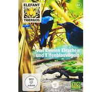 Elefant, Tiger & Co. -Teil 43-Von kleinen Drachen und Elfenblauvögeln [Import]
