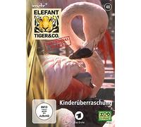 Elefant, Tiger & Co. - Teil 48 - Kinderüberraschung
