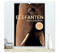 ELEFANTEN - Asiens graue Riesen (hochwertiger Premium Wandkalender 2026 DIN A2 hoch), Kunstdruck in Hochglanz: Sanfte Dickhäuter im Focus