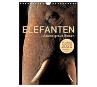 ELEFANTEN - Asiens graue Riesen (Wandkalender 2026 DIN A4 hoch), CALVENDO Monatskalender: Sanfte Dickhäuter im Focus