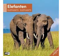 Elefanten Broschürenkalender 2026 - 30x30 - Art12 | Bildgewaltiger Tier-Kalender im schlanken Hochformat (aufgeklappt 30x60 cm) | Eintrage-Kalendarium