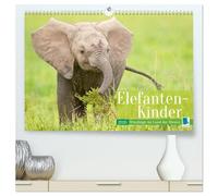 Elefanten Kinder: Winzlinge im Land der Riesen (hochwertiger Premium Wandkalender 2026 DIN A2 quer), Kunstdruck in Hochglanz: Afrikanische Elefantenbabys spielen im Schutz Ihrer Herde