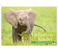 Elefanten Kinder: Winzlinge im Land der Riesen (Wandkalender 2026 DIN A3 quer), CALVENDO Monatskalender: Afrikanische Elefantenbabys spielen im Schutz Ihrer Herde
