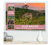 ELEFANTEN - Rüsselträger der Herzen (hochwertiger Premium Wandkalender 2026 DIN A2 quer), Kunstdruck in Hochglanz: Asien sanfte Riesen