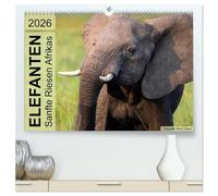 Elefanten - Sanfte Riesen Afrikas (hochwertiger Premium Wandkalender 2026 DIN A2 quer), Kunstdruck in Hochglanz: Begegnungen im südlichen und östlichen Afrika.