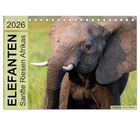 Elefanten - Sanfte Riesen Afrikas (Tischkalender 2026 DIN A5 quer), CALVENDO Monatskalender: Begegnungen im südlichen und östlichen Afrika.