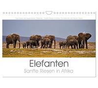 Elefanten - Sanfte Riesen in Afrika (Wandkalender 2026 DIN A4 quer), CALVENDO Monatskalender: Faszinierende Augenblicke fotografiert in Ost- und Südafrika