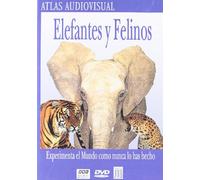 Elefantes Y Felinos [Import]
