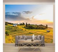 Élégant Coucher De Soleil Maisons Champs Art Papier Peint 3D Installation Facile Intissé Tapisserie Bureau Salon Canapé Chambre Décoration Murale-430cm×300cm