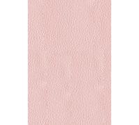 Elegant Password daily Hardcover Password Book for Internet Website Address Login Password Keeper (Pages 200): password book with alphabetical tabs