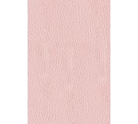 Elegant Password daily paperback Password Book for Internet Website Address Login Password Keeper (Pages 200): password book with alphabetical tabs