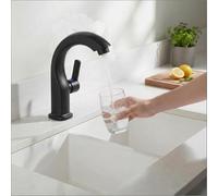 Élégant robinet d'eau froide en ABS pour lavabo robinet de salle de bain à levier unique avec caractéristiques pratiques (noir)