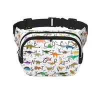 Élégant sac de taille carré double couche avec dinosaures pour l'apprentissage de l'alphabet, mini ceinture réglable, sac pour exercice, course, voyage, randonnée, noir, One Size