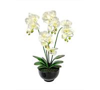 Elegant White Real Touch Artificial Potted Orchid (60cm) In Black Ceramic Pot