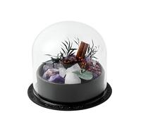 Élégante décoration de bureau en cristal de chakra miniature | Comprend une boîte de qualité supérieure | Protection de l'énergie et équilibre corps-esprit | Convient pour un affichage quotidien ou