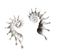 Élégantes boucles d'oreilles en coquillages Design ouvert Anneaux autour de toutes les formes de visage Bijou élégant plaqué argent Pour toutes les occasions Pour toutes les occasions À compléter avec