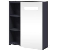 Eleganz Armoire à miroir avec éclairage pour salle de bain - Gris - 45 x 13 x 52 cm - Bois avec revêtement en mélamine et verre - Espace de rangement moderne avec éclairage