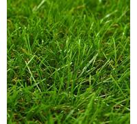 Eleganz Gazon artificiel 1 x 10 m, 40 mm, vert, en polypropylène et polyéthylène, idéal pour le jardin, le balcon et la terrasse, durable, facile d'entretien, aspect réaliste