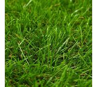 Eleganz Gazon artificiel, 1 x 5 m, hauteur 40 mm, vert, en polypropylène et polyéthylène de qualité supérieure, pour jardin, balcon et terrasse, durable, facile d'entretien et réaliste