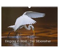 Eleganz in Weiß - Der Silberreiher (Wandkalender 2026 DIN A3 quer), CALVENDO Monatskalender: Faszinierende Momentaufnahmen eines eleganten Fischjägers