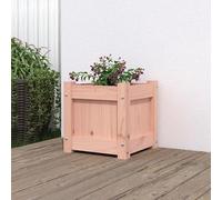 Eleganz Jardinière en bois massif, 31 x 31 x 31 cm, en sapin Douglas, naturel et durable, pour jardin et balcon, bois non traité, pour les amateurs de plantes