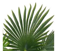 Eleganz Palmier artificiel avec pot vert 70 cm - Plante artificielle en plastique et bois pour salon, bureau et balcon - Décoration facile d'entretien - Design réaliste