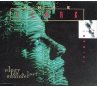 Elegy For A Lost Summer