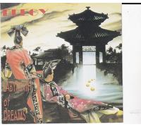 Elegy - Labyrinth of Dreams