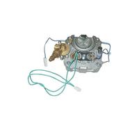 ELEMENT CHAUFFANT COMPLET 1030 W pour PIECES PREPARATION DES BOISSONS PETIT ELECTROMENAGER SAECO - 901003500A