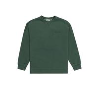 Element Cornell 3.0 CR Youth Sweatshirt, Trekking Green, 140 Boy's