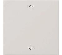 Gira Gira Module de commande rws symboles fléchés 536103 Quantité:1