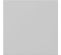 Elément De Commande Intelligent Gira System 55 - 5360015