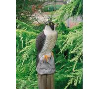 Elément de décoration "Faucon"