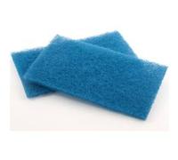 Lot de 2 éléments filtrants printemps pour robot électrique - Hayward