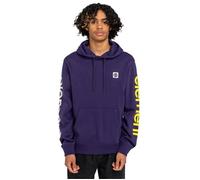 Element Joint 2.0 - Sweat à capuche - Homme - Violet. S