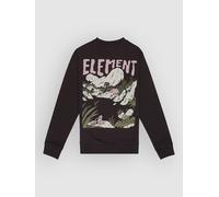 Element Lakeside Kids Sweat noir T10