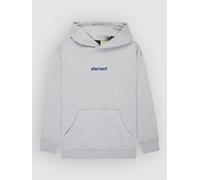 Element Lowcase BP Kids Sweat à capuche gris T10