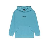 Element Lowcase BP PO Y - Sweat à Capuche - Garçon Enfant 8-16 Ans - XL/16 - Bleu.