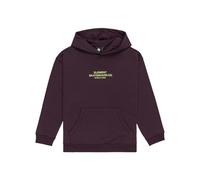 Element Skateboard - Sweat à Capuche pour Garçon 8-16