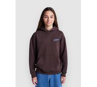 Element Sunrise Hoodie Marron 14 Years Garçon